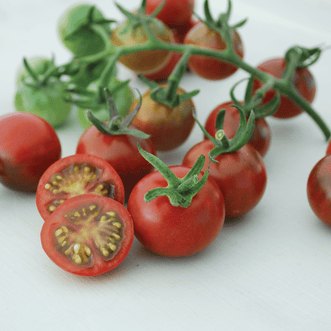 Kings Seeds Organic Organic Tomato Rosella
