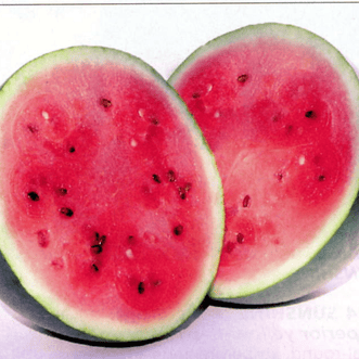 Kings Seeds Organic Organic Watermelon Sugar Baby