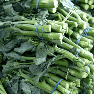 Kings Seeds Vegetables Broccoli Chinese Gai Lan