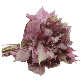 Kings Seeds Vegetables Shiso Purple