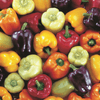 Kings Seeds Vegetables Capsicum Bell Colour Mix