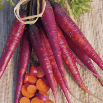 Kings Seeds Vegetables Carrot Purple Dragon