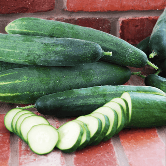 Kings Seeds Vegetables Cucumber Longfellow