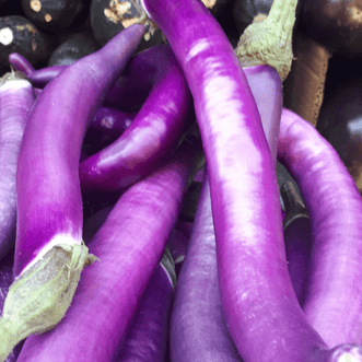 Kings Seeds Vegetables Eggplant Dok F1