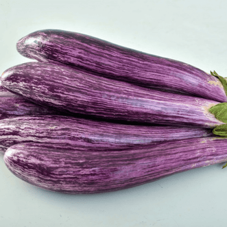 Kings Seeds Vegetables Eggplant Fiancee F1