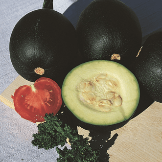 Kings Seeds Vegetables Squash African Gem