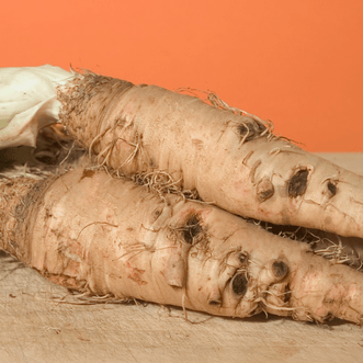 Kings Seeds Vegetables Salsify