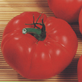Kings Seeds Vegetables Tomato Marmande