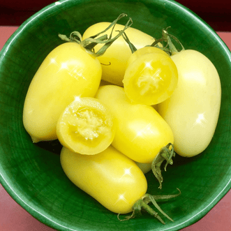 Kings Seeds Vegetables Tomato Crème Brulee