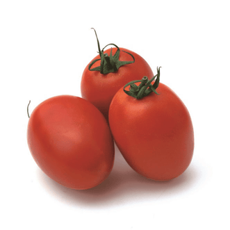 Kings Seeds Vegetables Tomato Sicilian Sauce F1