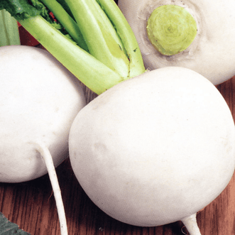 Kings Seeds Vegetables Turnip Snowball